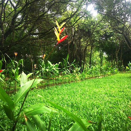 Hotel Bird Paradise Sigiriya Luaran gambar